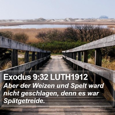 Exodus 9:32 LUTH1912 Bible Verse Image