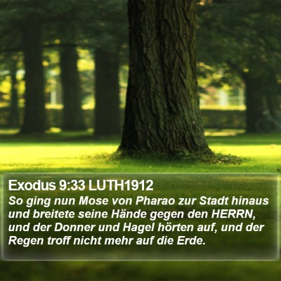 Exodus 9:33 LUTH1912 Bible Verse Image