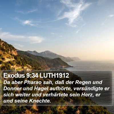 Exodus 9:34 LUTH1912 Bible Verse Image