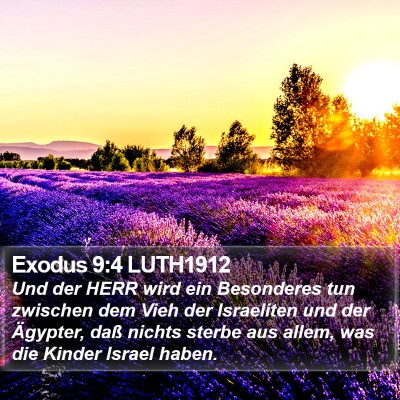 Exodus 9:4 LUTH1912 Bible Verse Image