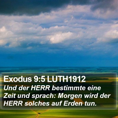 Exodus 9:5 LUTH1912 Bible Verse Image