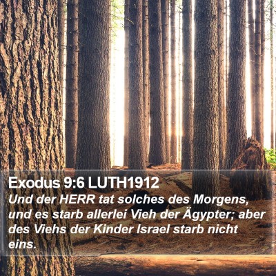 Exodus 9:6 LUTH1912 Bible Verse Image