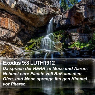 Exodus 9:8 LUTH1912 Bible Verse Image