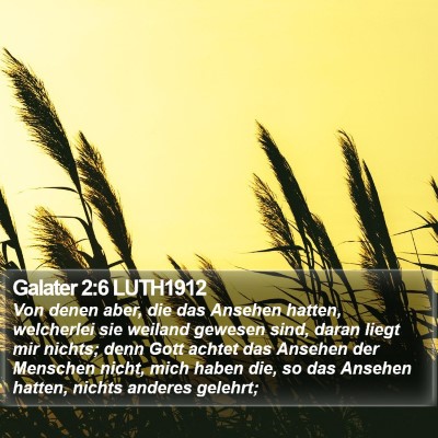 Galater 2:6 LUTH1912 Bible Verse Image