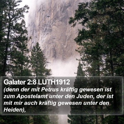 Galater 2:8 LUTH1912 Bible Verse Image