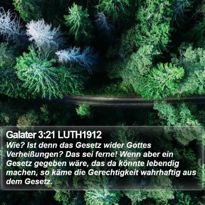 Galater 3:21 LUTH1912 Bible Verse Image