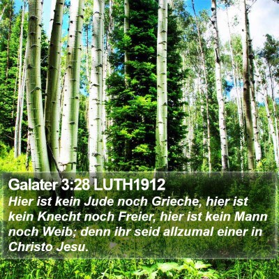 Galater 3:28 LUTH1912 Bible Verse Image