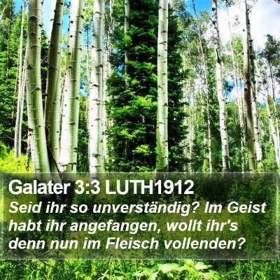 Galater 3:3 LUTH1912 Bible Verse Image