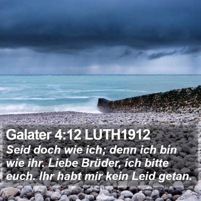 Galater 4:12 LUTH1912 Bible Verse Image