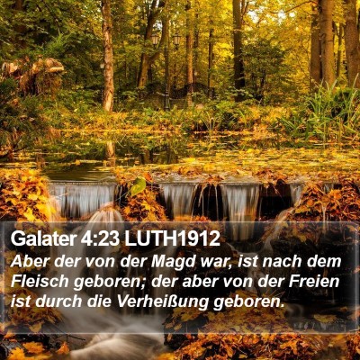 Galater 4:23 LUTH1912 Bible Verse Image
