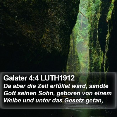 Galater 4:4 LUTH1912 Bible Verse Image