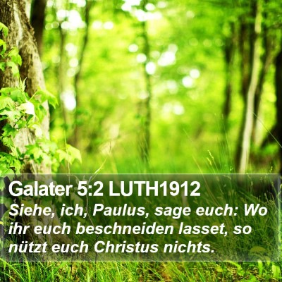 Galater 5:2 LUTH1912 Bible Verse Image