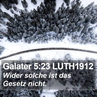 Galater 5:23 LUTH1912 Bible Verse Image