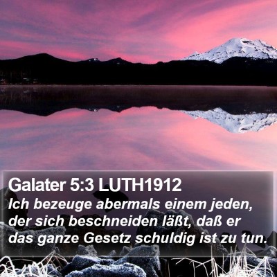 Galater 5:3 LUTH1912 Bible Verse Image