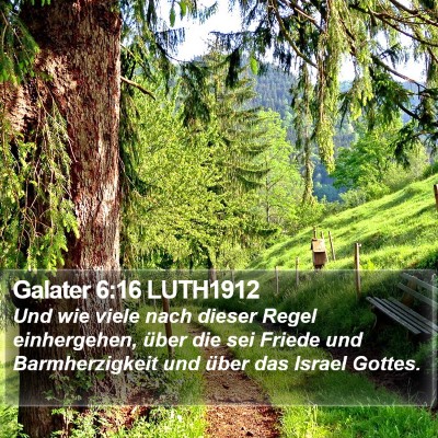 Galater 6:16 LUTH1912 Bible Verse Image