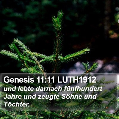 Genesis 11:11 LUTH1912 Bible Verse Image