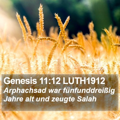 Genesis 11:12 LUTH1912 Bible Verse Image