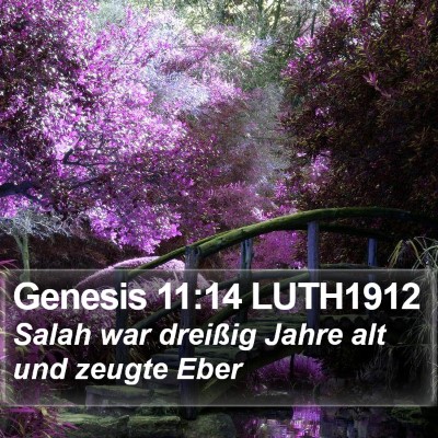 Genesis 11:14 LUTH1912 Bible Verse Image