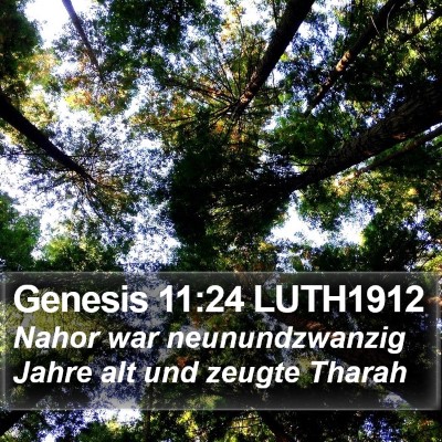 Genesis 11:24 LUTH1912 Bible Verse Image