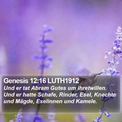 Genesis 12:16 LUTH1912 Bible Verse Image