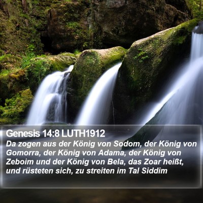 Genesis 14:8 LUTH1912 Bible Verse Image