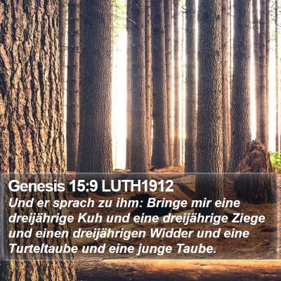 Genesis 15:9 LUTH1912 Bible Verse Image