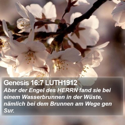 Genesis 16:7 LUTH1912 Bible Verse Image