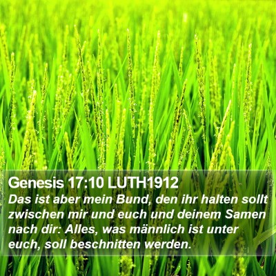Genesis 17:10 LUTH1912 Bible Verse Image