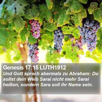 Genesis 17:15 LUTH1912 Bible Verse Image