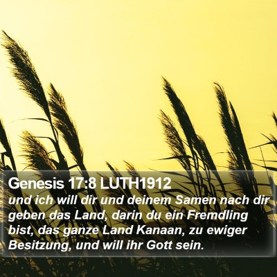 Genesis 17:8 LUTH1912 Bible Verse Image