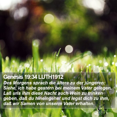 Genesis 19:34 LUTH1912 Bible Verse Image