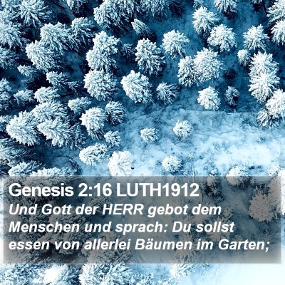 Genesis 2:16 LUTH1912 Bible Verse Image