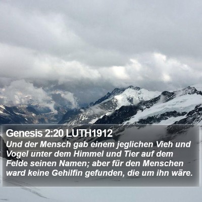 Genesis 2:20 LUTH1912 Bible Verse Image