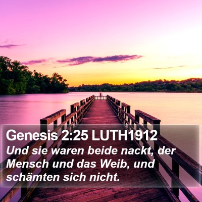 Genesis 2:25 LUTH1912 Bible Verse Image