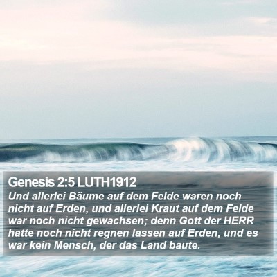 Genesis 2:5 LUTH1912 Bible Verse Image