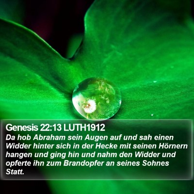 Genesis 22:13 LUTH1912 Bible Verse Image