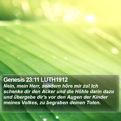 Genesis 23:11 LUTH1912 Bible Verse Image