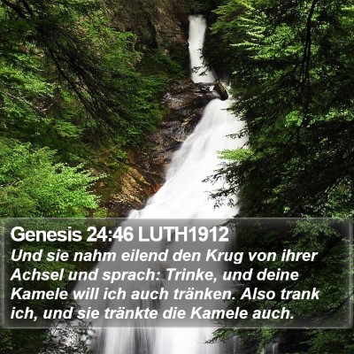 Genesis 24:46 LUTH1912 Bible Verse Image