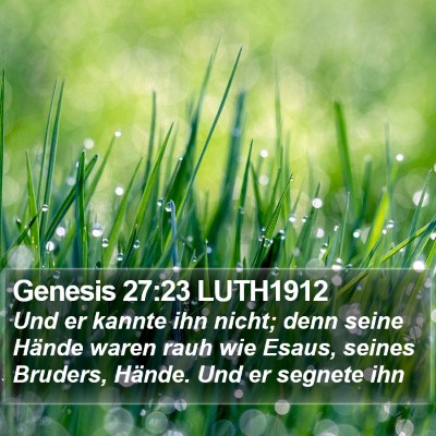 Genesis 27:23 LUTH1912 Bible Verse Image