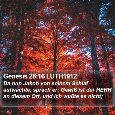Genesis 28:16 LUTH1912 Bible Verse Image