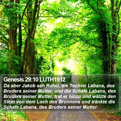 Genesis 29:10 LUTH1912 Bible Verse Image