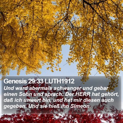Genesis 29:33 LUTH1912 Bible Verse Image