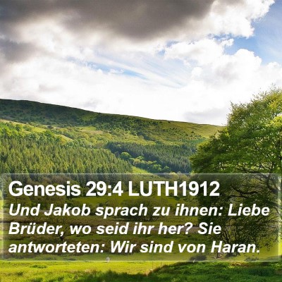Genesis 29:4 LUTH1912 Bible Verse Image