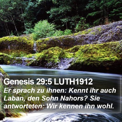 Genesis 29:5 LUTH1912 Bible Verse Image