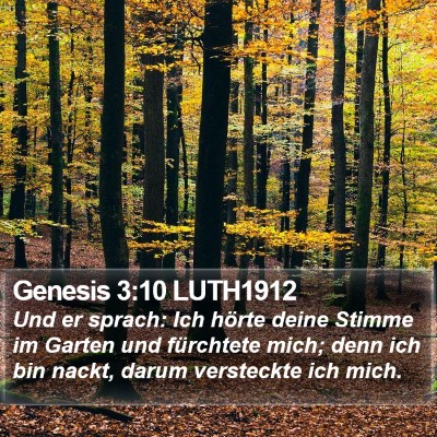 Genesis 3:10 LUTH1912 Bible Verse Image