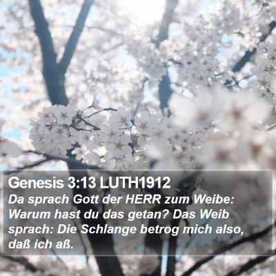 Genesis 3:13 LUTH1912 Bible Verse Image