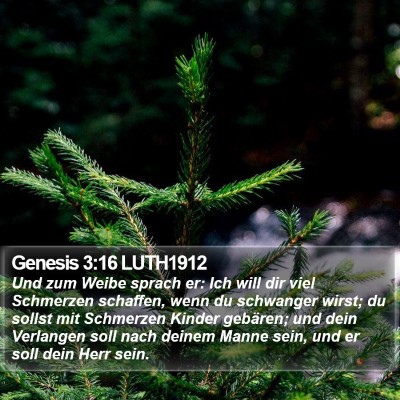 Genesis 3:16 LUTH1912 Bible Verse Image