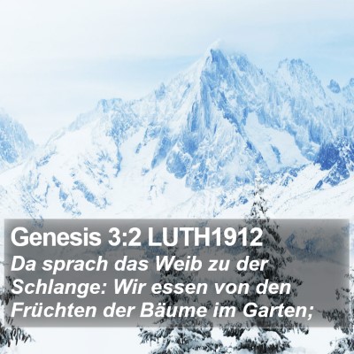 Genesis 3:2 LUTH1912 Bible Verse Image