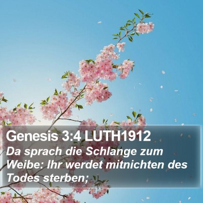 Genesis 3:4 LUTH1912 Bible Verse Image