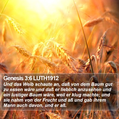 Genesis 3:6 LUTH1912 Bible Verse Image